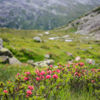 Olpererhuette_B_041