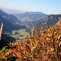 146_Schrecksee_016