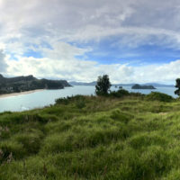152_Neuseeland_02_Coromandel_Haeder