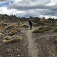 152_Neuseeland_04_Tongariro054
