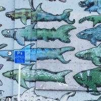 152_Neuseeland_06_Wellington_Header