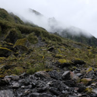 152_Neuseeland_09_Westcoast024