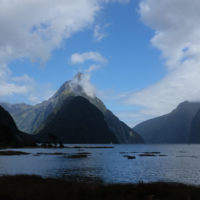 152_Neuseeland_11_Fjordland025