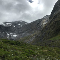 152_Neuseeland_11_Fjordland037