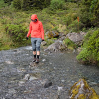 152_Neuseeland_11_Fjordland062