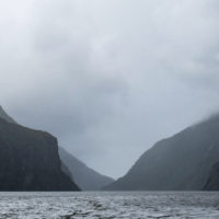 152_Neuseeland_11_Fjordland_Haeder