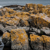 187_1_Bornholm_Header