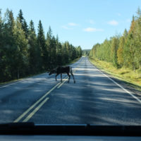 189_1_Lappland_009