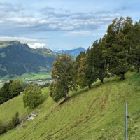 Haeder