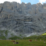 Dolomiten15