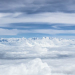 Fliegen008