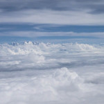 Fliegen009