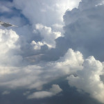 Fliegen010
