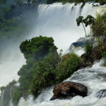 Iguazu014