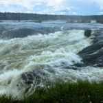 Iguazu029