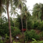 Kho_Phangan21