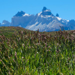 Torres_del_Paine023