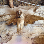 Uyuni010